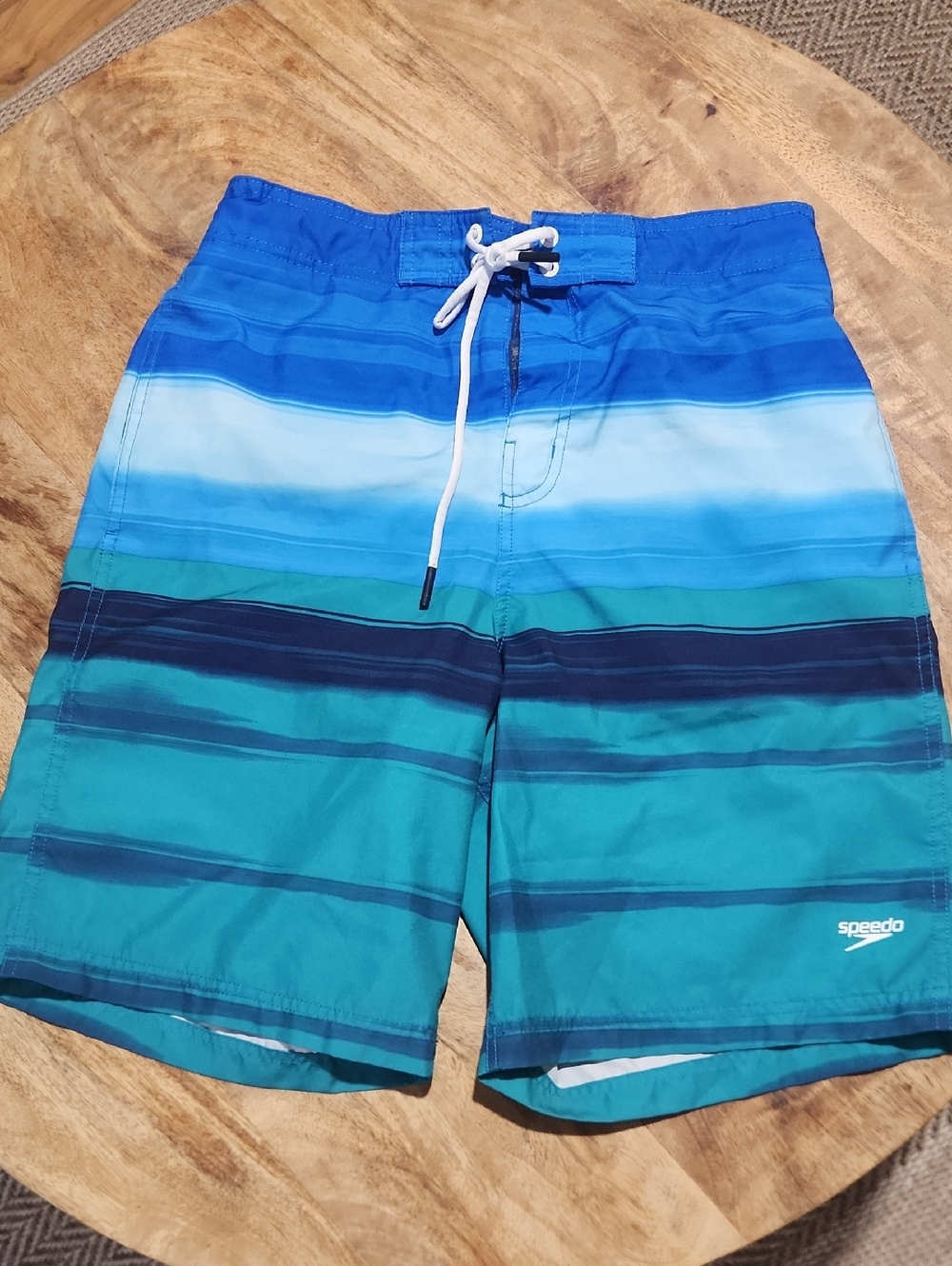 Speedo Men’s Blue Teal Striped Swim Shorts Medium
